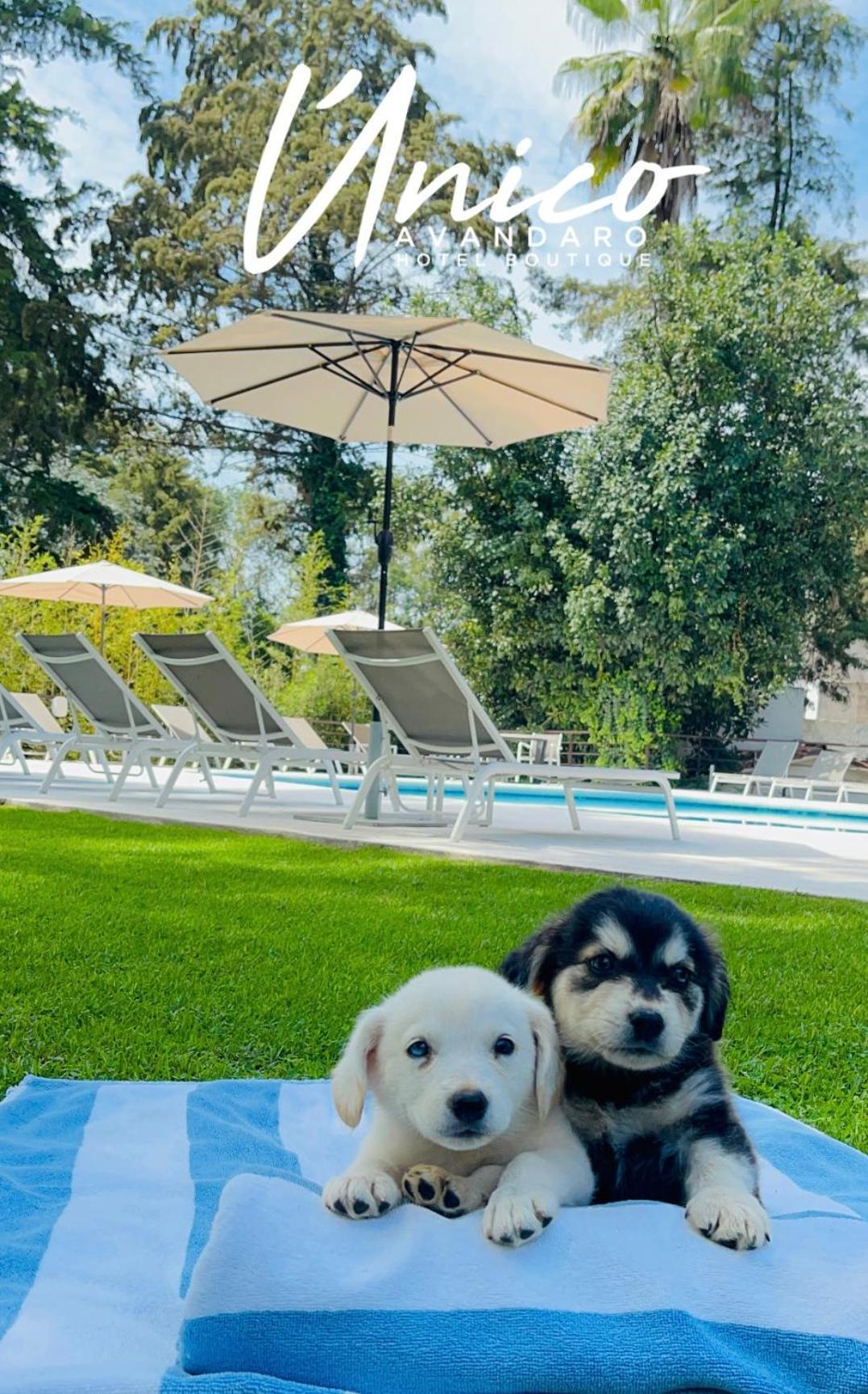 Hotel Boutique Unico Avandaro Valle de Bravo Kültér fotó