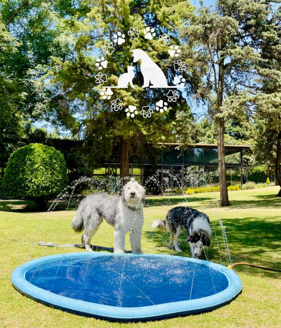 Hotel Boutique Unico Avandaro Valle de Bravo Kültér fotó